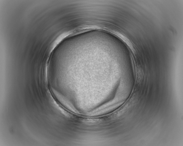 X0000112811290200909041446