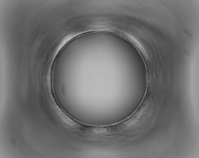 X0000112811291200909041446