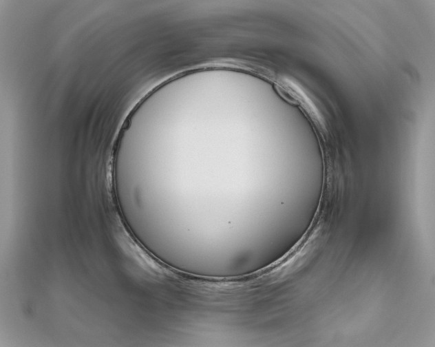 X0000112811292200909041446