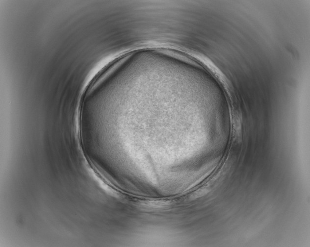 X0000112811294200909041446