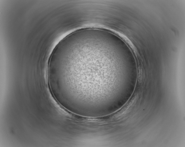X0000112811295200909041446