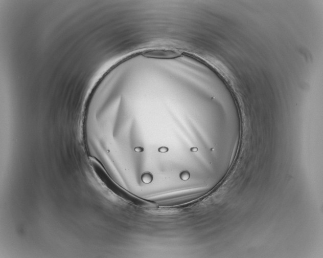 X0000112811296200909041446