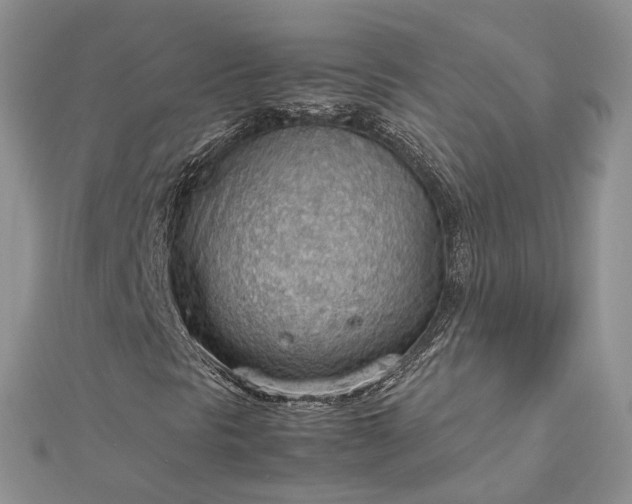 X0000112811297200909041445