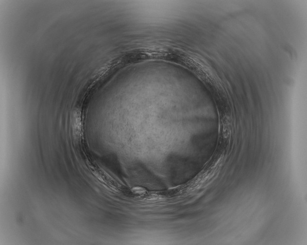 X0000112811298200909041445