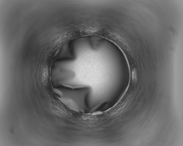 X0000112811299200909041445