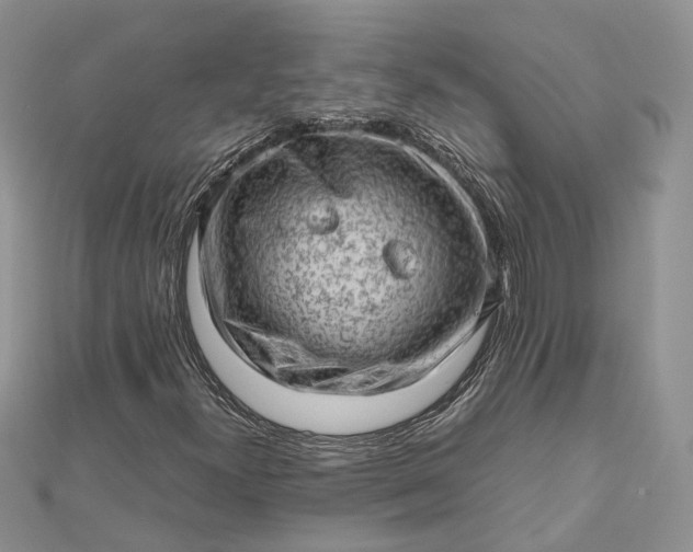 X0000112811300200909041445