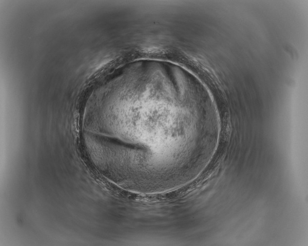 X0000112811301200909041445