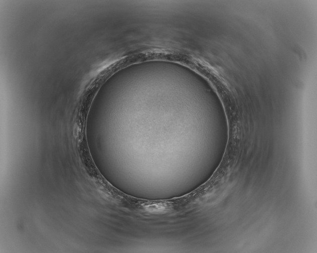 X0000112811303200909041445