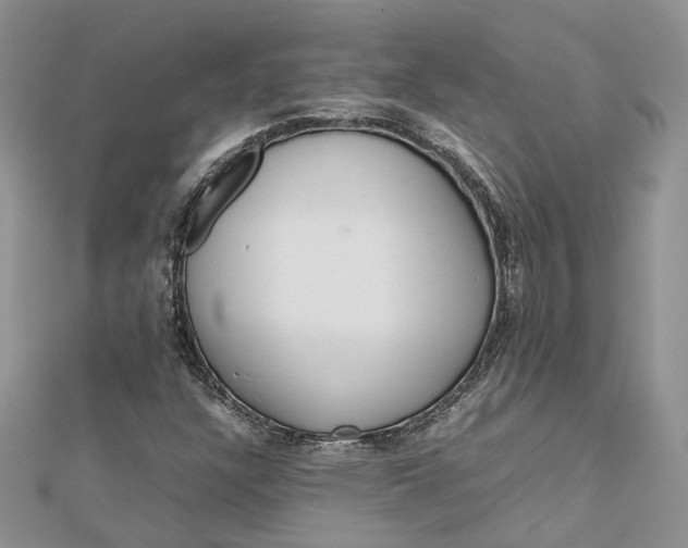 X0000112811304200909041445