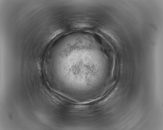 X0000112811305200909041445