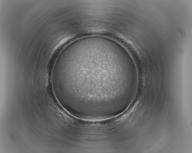 X0000112811306200909041445