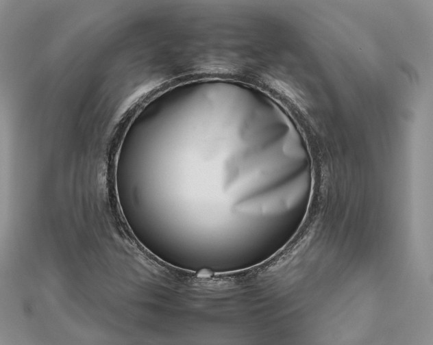 X0000112811307200909041445