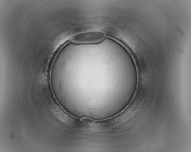 X0000112811308200909041446
