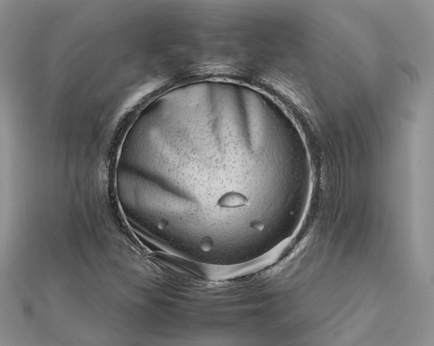 X0000112811309200909041446