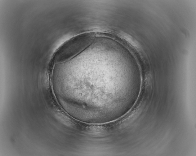 X0000112811310200909041446