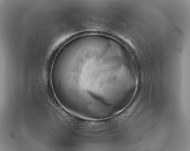 X0000112811311200909041446
