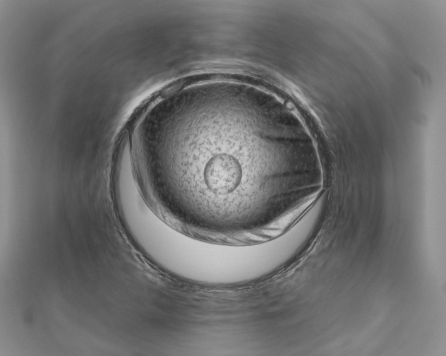 X0000112811312200909041446