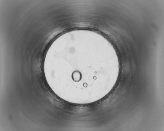 X0000112811314200909041446