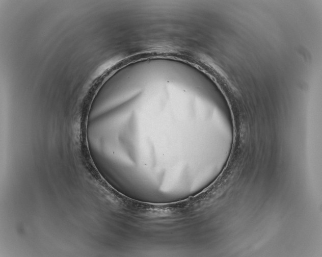 X0000112811315200909041446