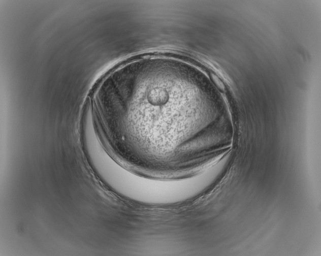 X0000112811316200909041446