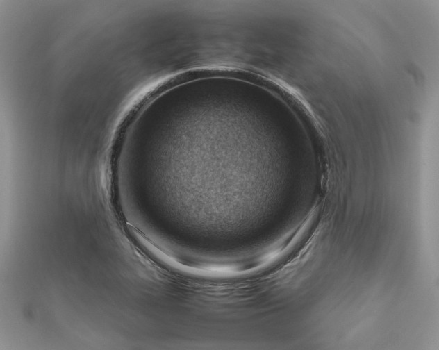 X0000112811319200909041446