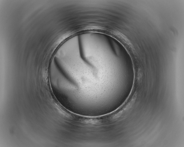 X0000112811321200909041446