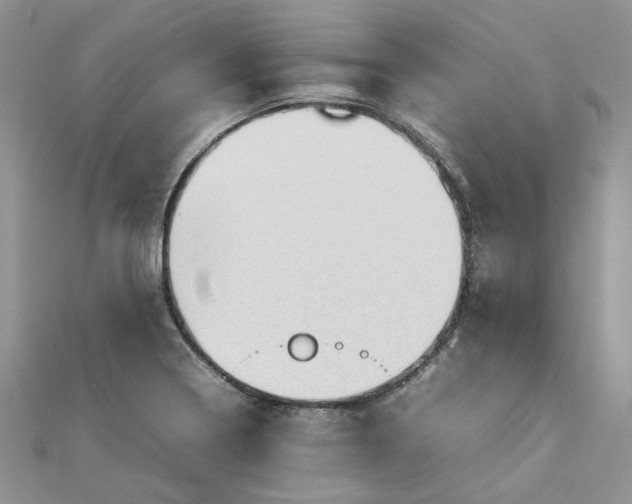 X0000112811322200909041446