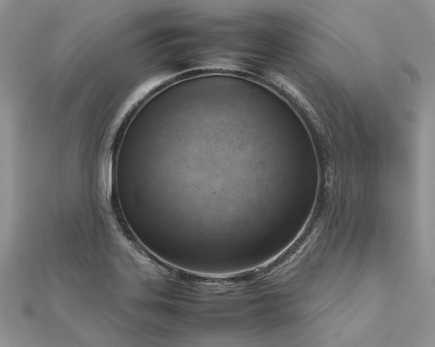 X0000112811323200909041446