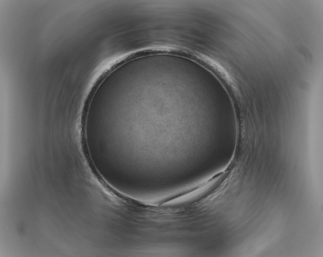 X0000112811327200909041446