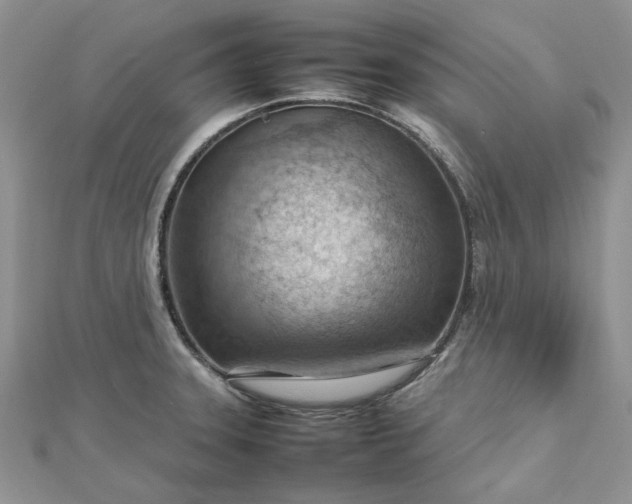 X0000112811331200909041446