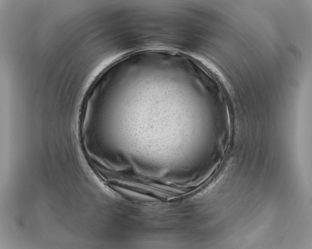 X0000112811333200909041446