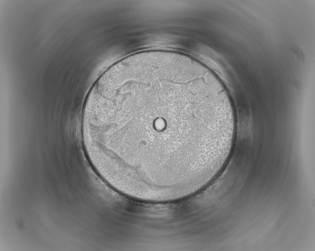 X0000112811338200909041446
