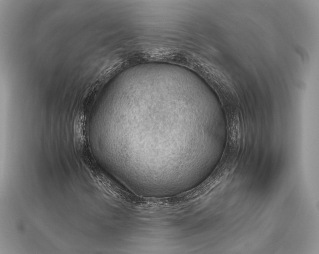 X0000112811346200909041445