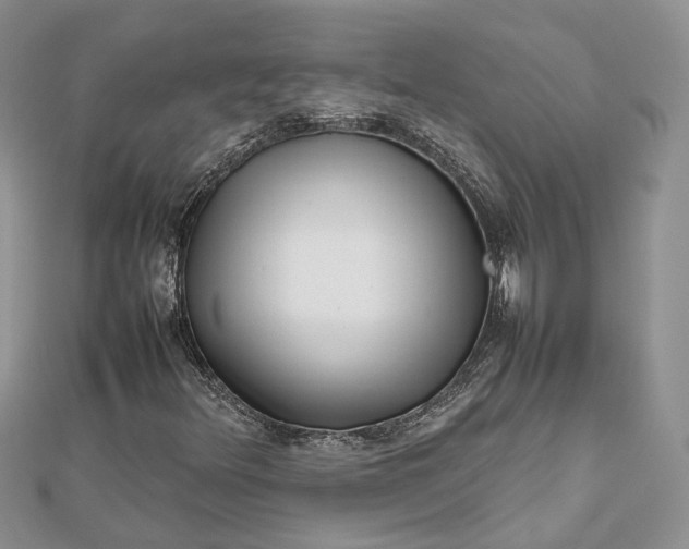X0000112811348200909041445