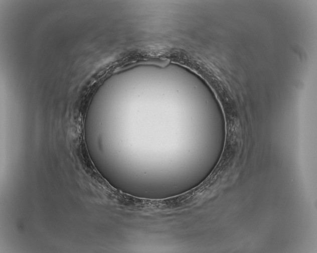 X0000112811349200909041445