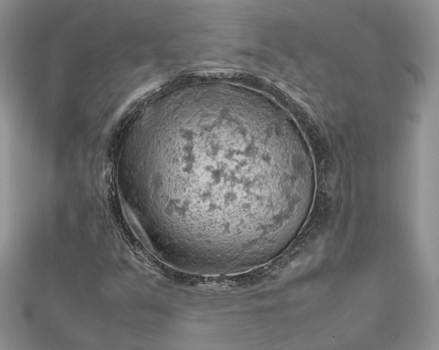 X0000112811351200909041445