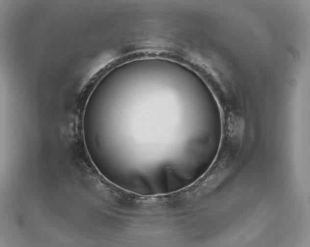 X0000112811352200909041445