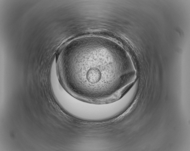 X0000112811353200909041445