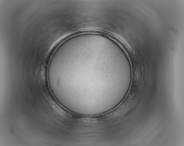 X0000112811356200909041445