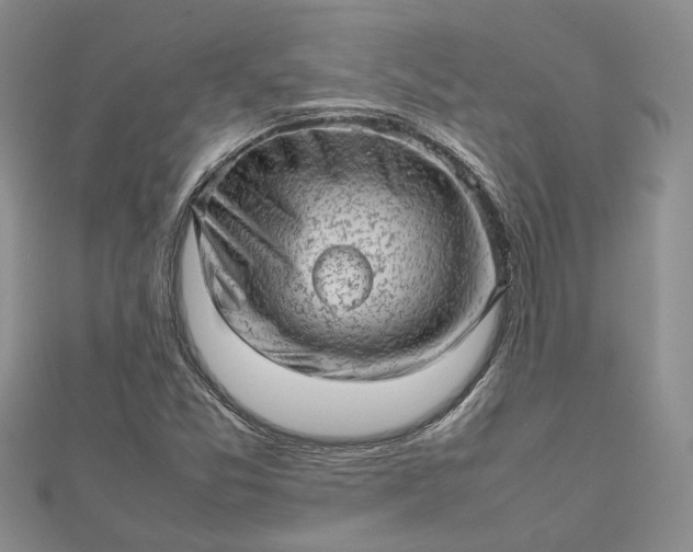 X0000112811357200909041445