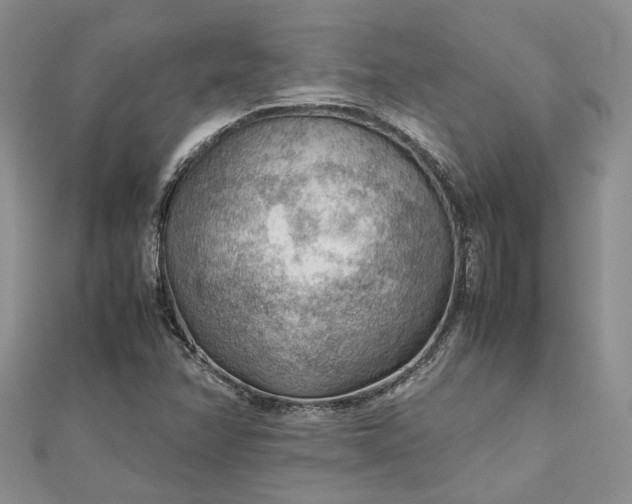 X0000112811358200909041445