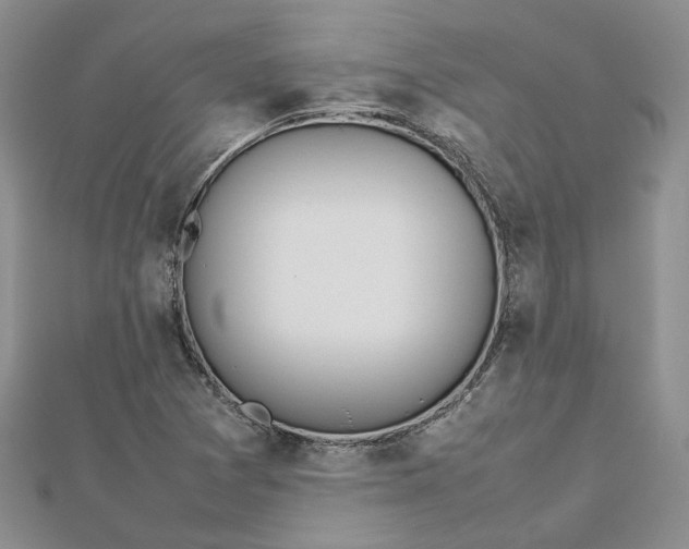 X0000112811361200909041445