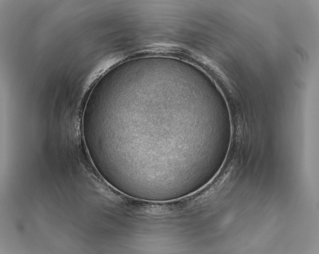 X0000112811362200909041445