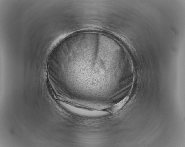X0000112811363200909041445