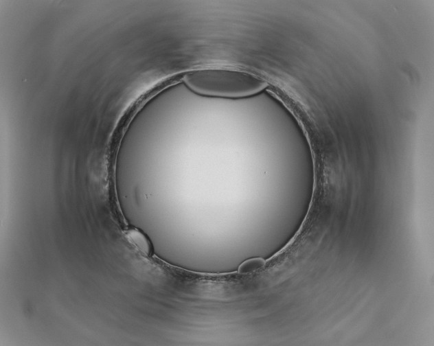 X0000112811364200909041445