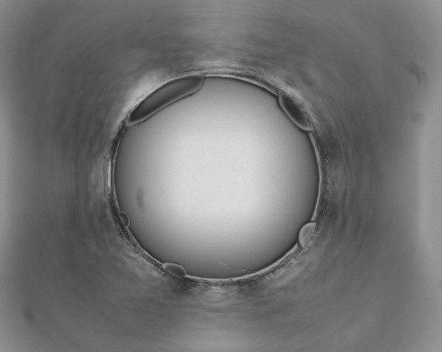 X0000112811365200909041445