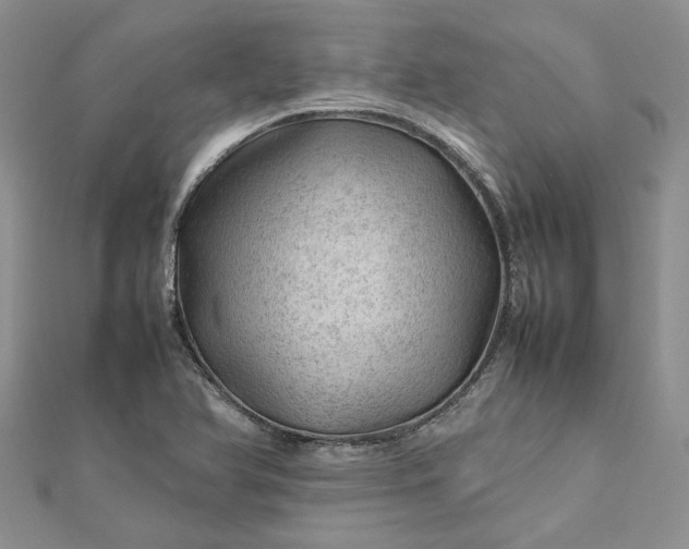 X0000112811366200909041445