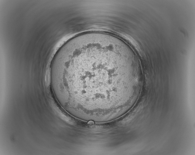 X0000112811371200909041445