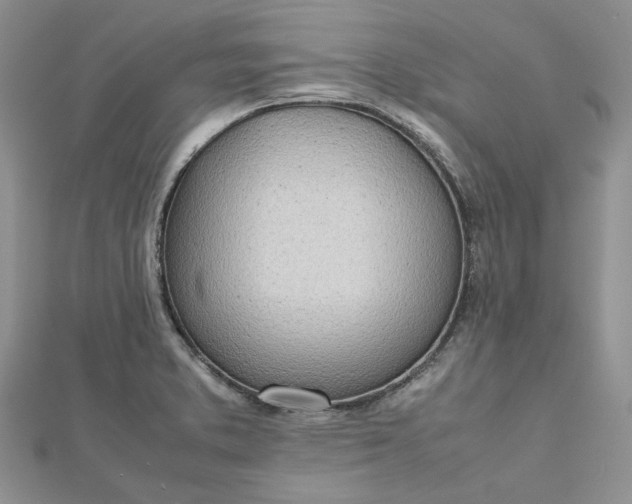 X0000112811373200909041445