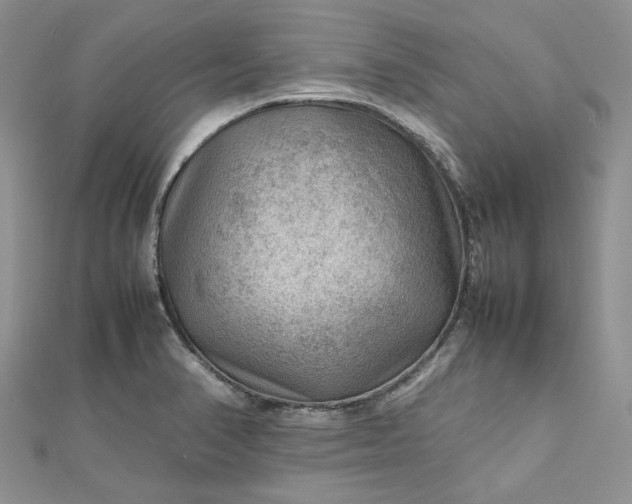 X0000112811374200909041445